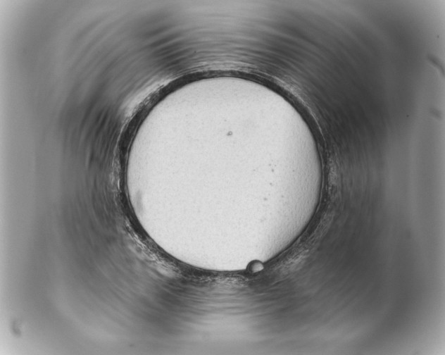 X0000102280979200808151923