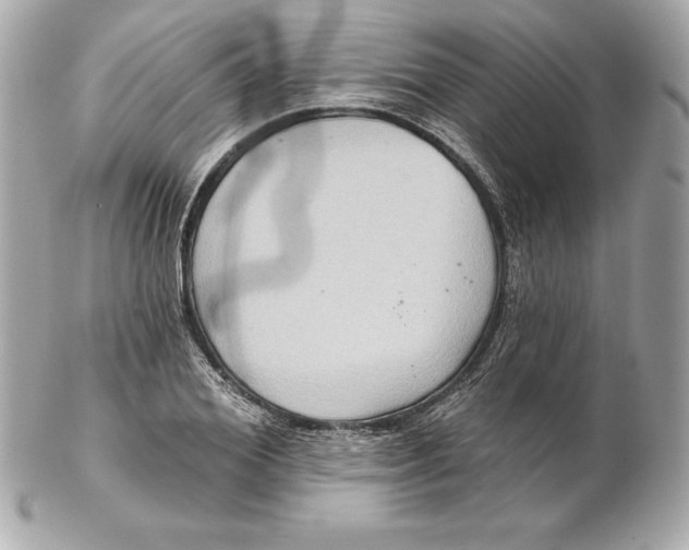 X0000102280980200808151923