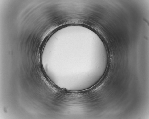 X0000102280981200808151923