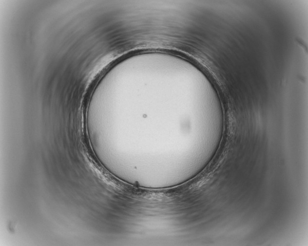 X0000102280982200808151923