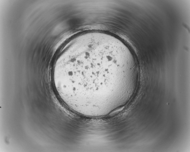 X0000102280983200808151923