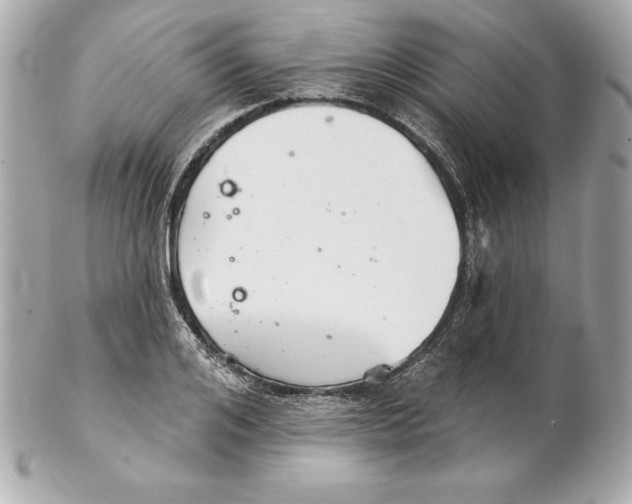 X0000102280984200808151923