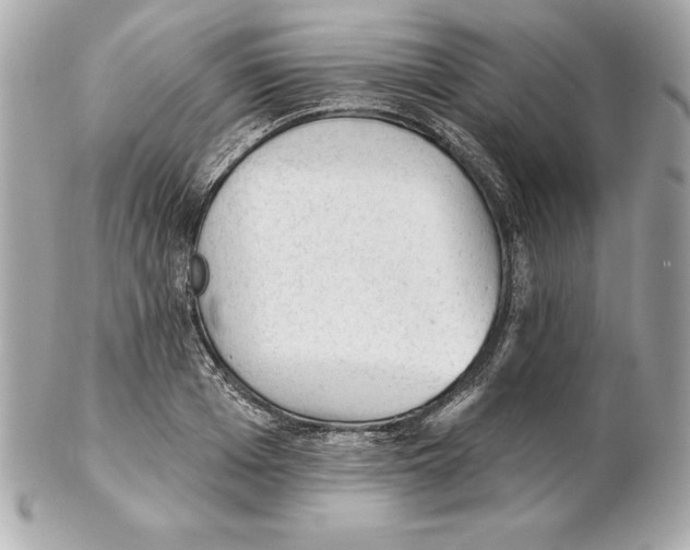 X0000102280985200808151923