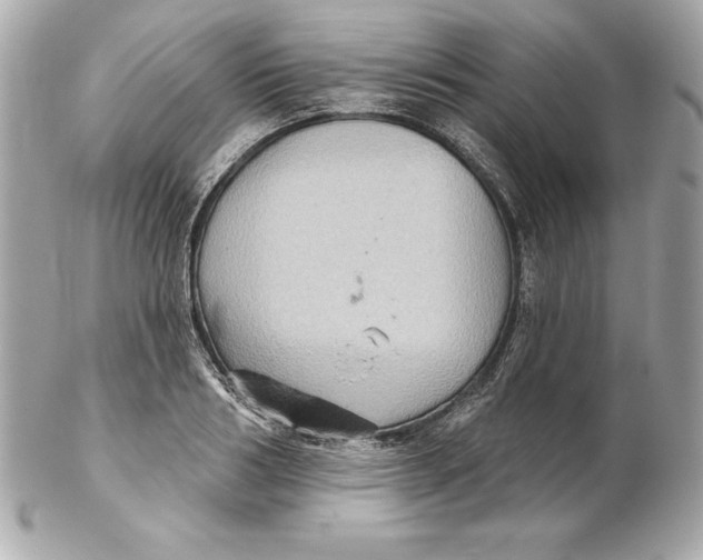 X0000102280986200808151923