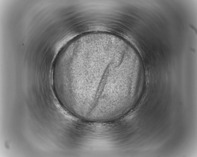 X0000102280987200808151923