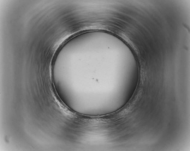 X0000102280988200808151923