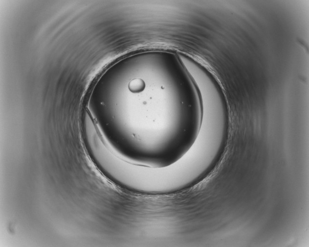 X0000102280989200808151923