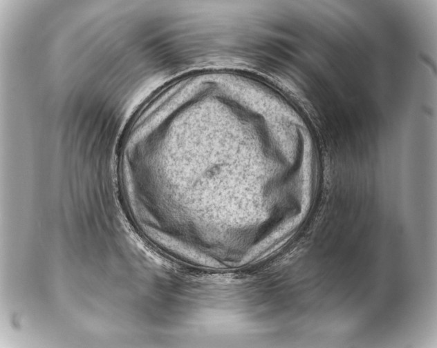 X0000102280990200808151923