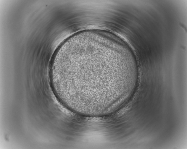 X0000102280991200808151923