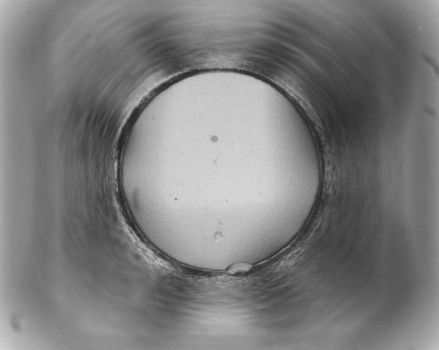 X0000102280992200808151923