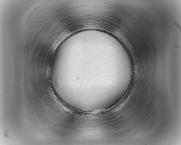 X0000102280993200808151923