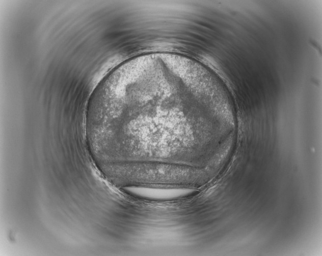 X0000102280994200808151923