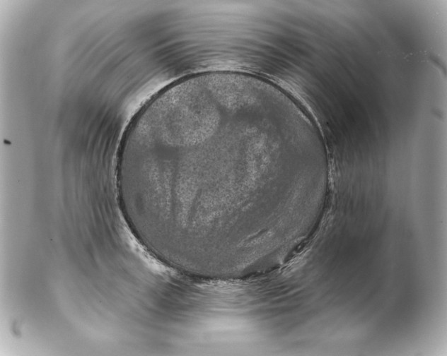 X0000102280995200808151923