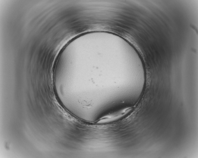 X0000102280996200808151923