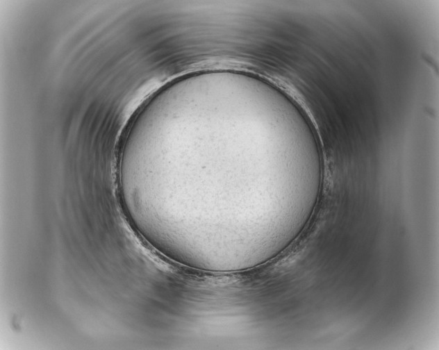 X0000102280997200808151923