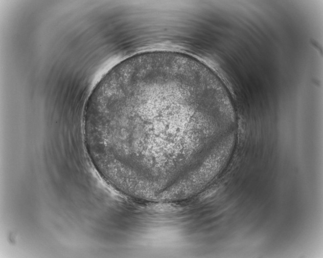 X0000102280998200808151923