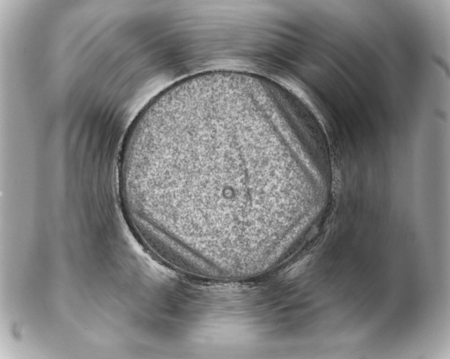 X0000102280999200808151923