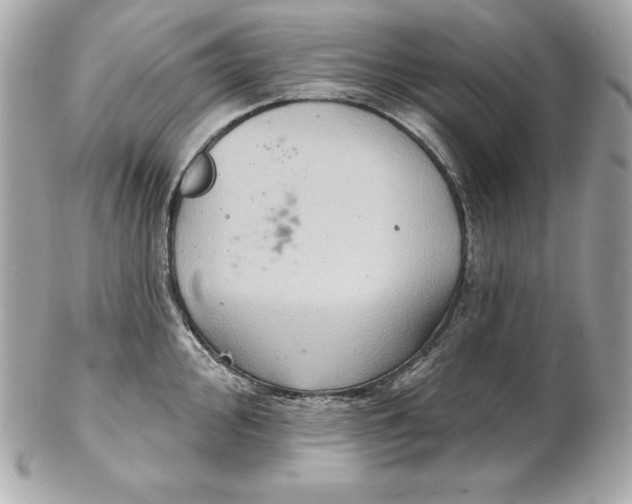 X0000102281000200808151923