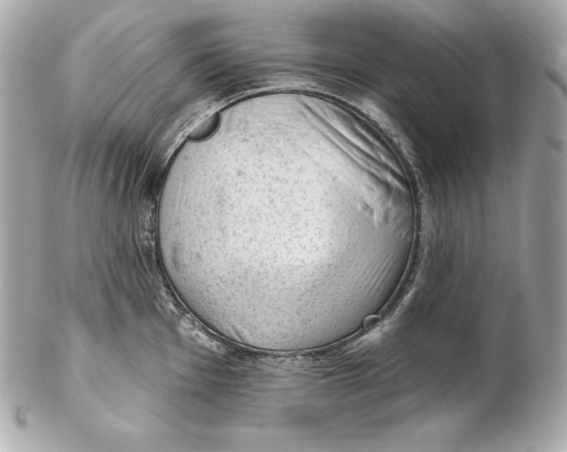 X0000102281001200808151923