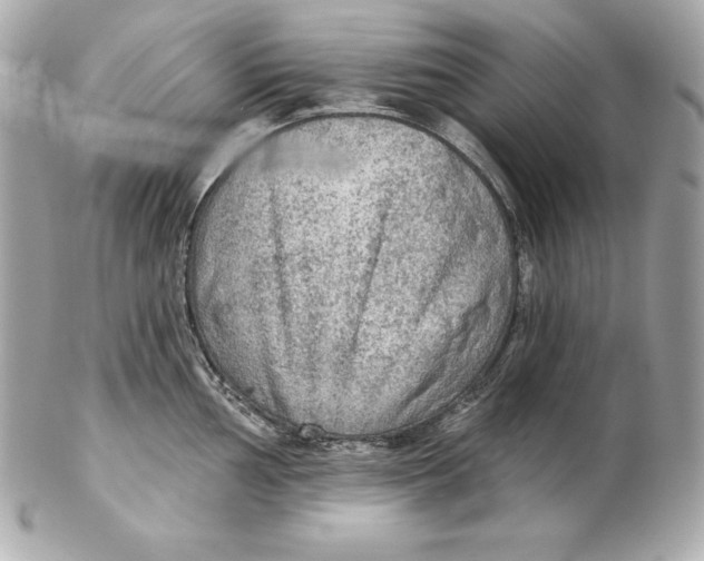 X0000102281002200808151923