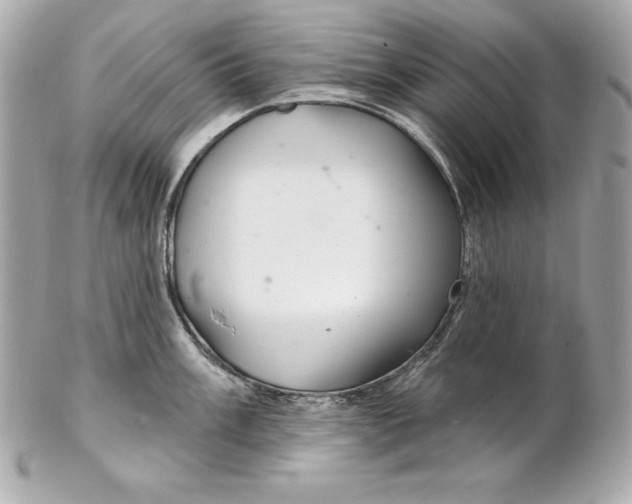 X0000102281003200808151923