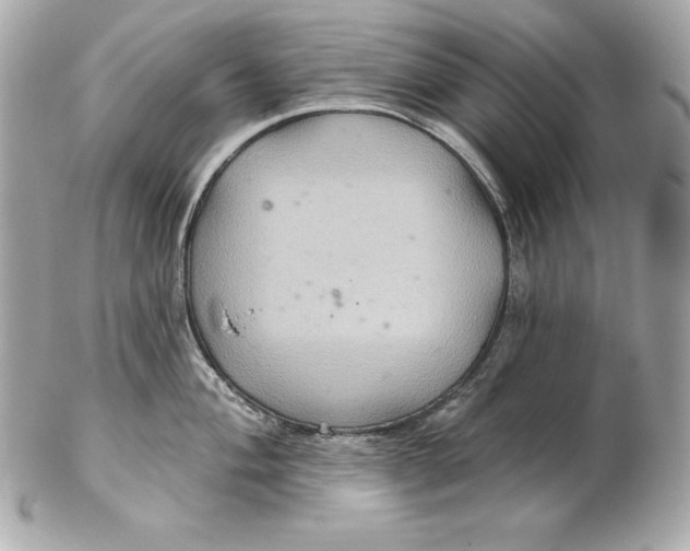 X0000102281004200808151923