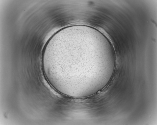 X0000102281005200808151923