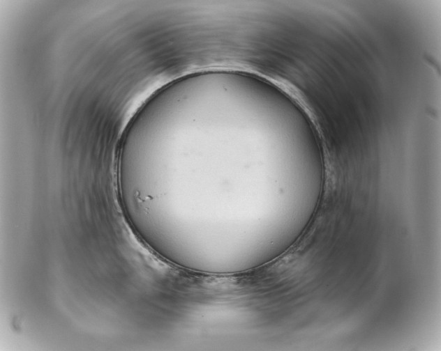 X0000102281006200808151923