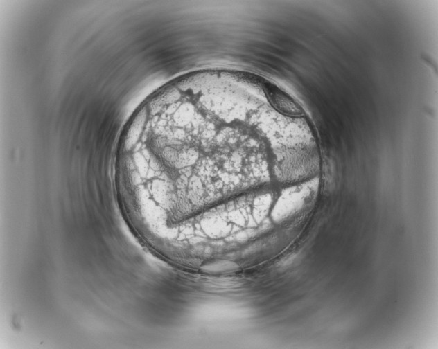 X0000102281007200808151923