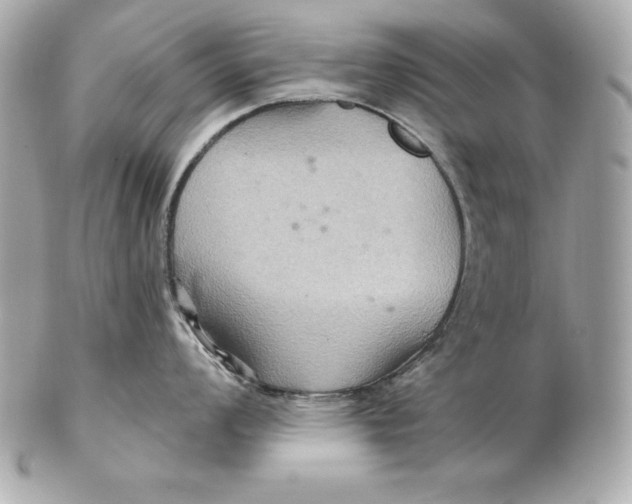 X0000102281008200808151923