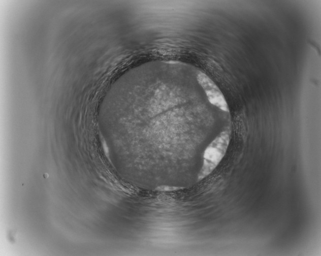 X0000102281009200808151922