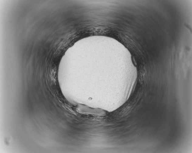 X0000102281010200808151922