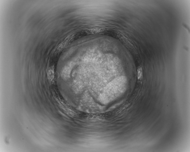 X0000102281011200808151922