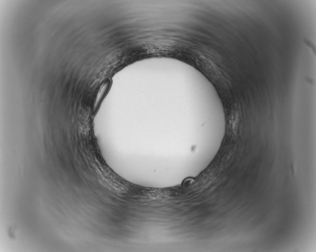 X0000102281012200808151922