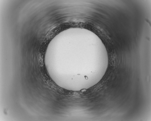 X0000102281013200808151922