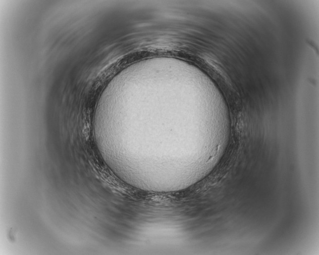 X0000102281015200808151922