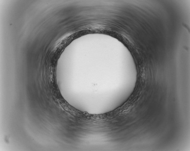 X0000102281016200808151922