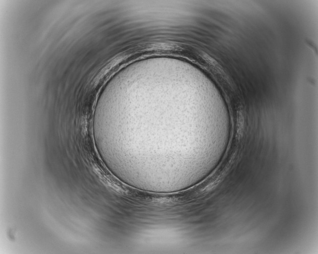 X0000102281017200808151922