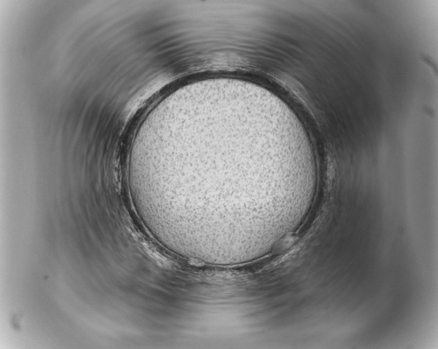 X0000102281018200808151922