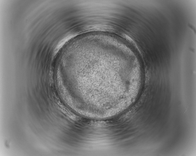 X0000102281019200808151922