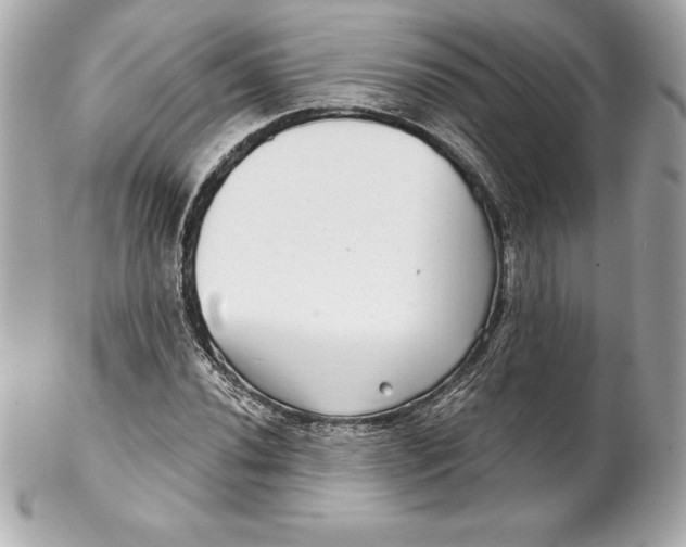 X0000102281020200808151922