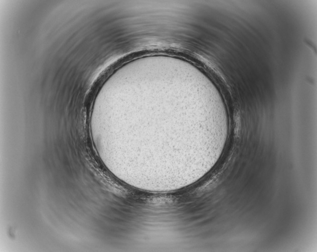 X0000102281021200808151922