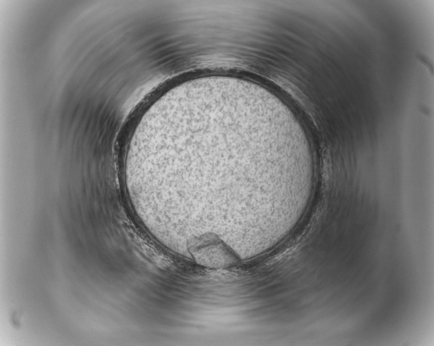 X0000102281022200808151922