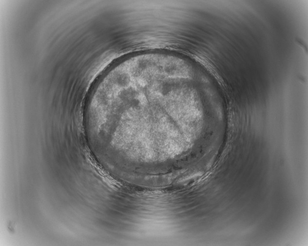 X0000102281023200808151922