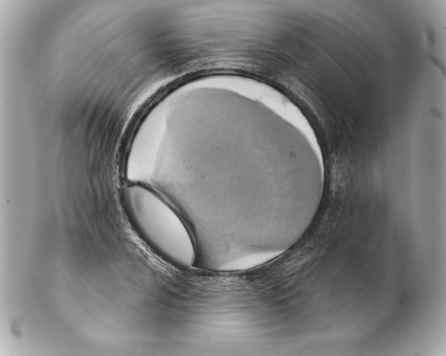 X0000102281024200808151922