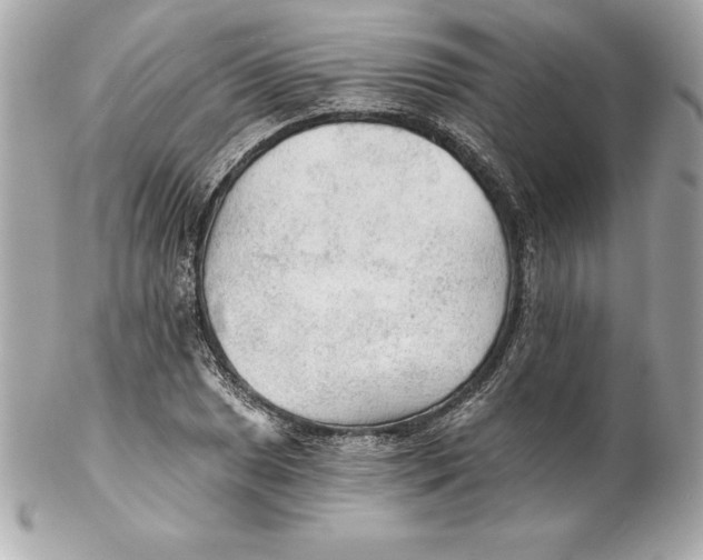 X0000102281025200808151922