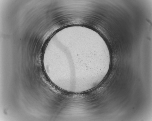 X0000102281026200808151922