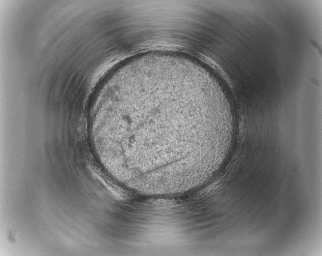 X0000102281027200808151922