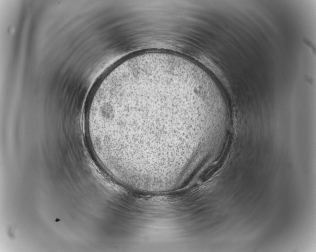 X0000102281028200808151923