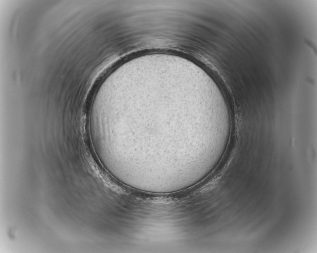 X0000102281029200808151923